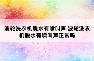 波轮洗衣机脱水有啸叫声 波轮洗衣机脱水有啸叫声正常吗